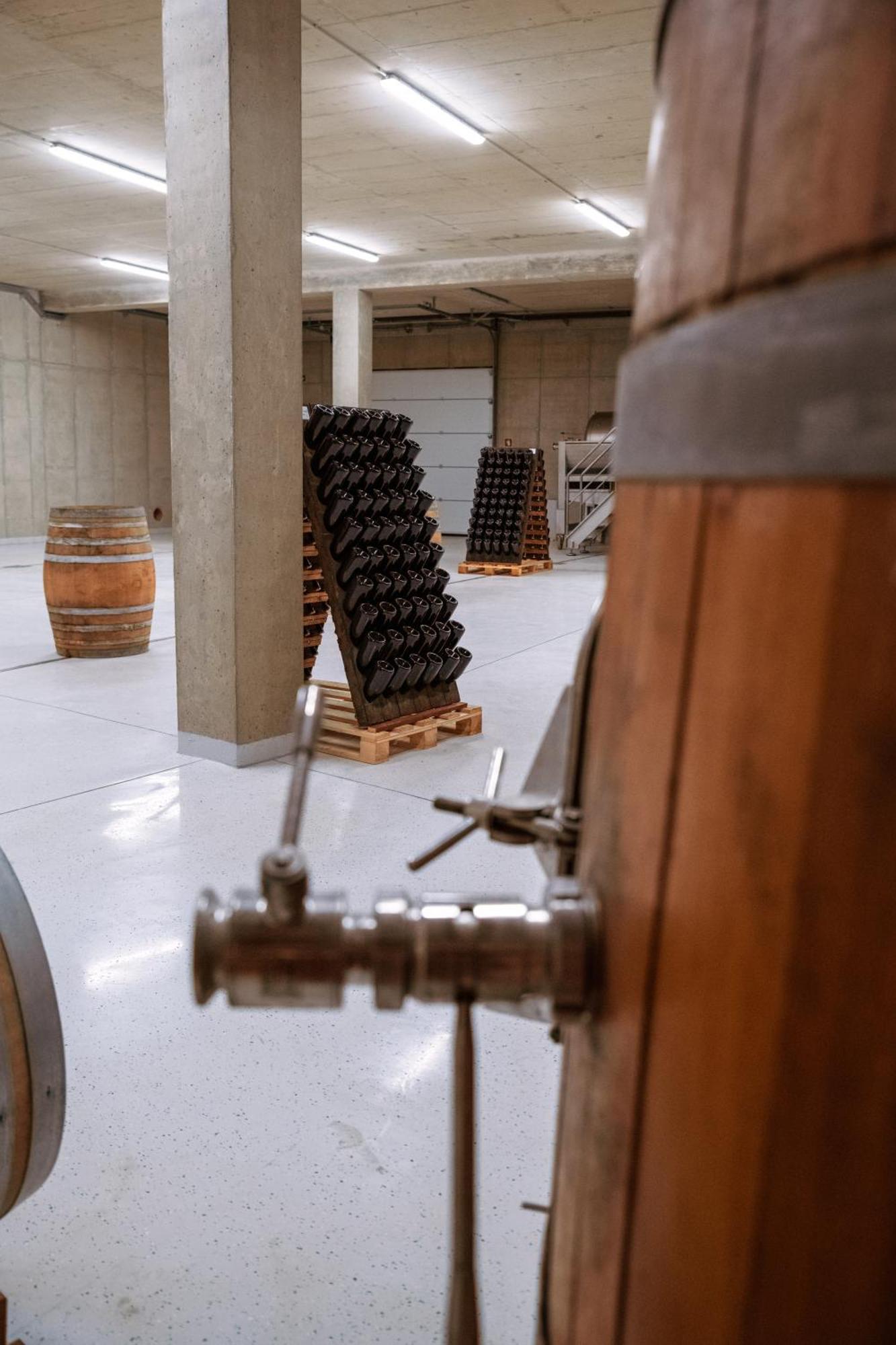 Posestvo Scurek Wine Bed & Breakfast Dobrovo Eksteriør bilde