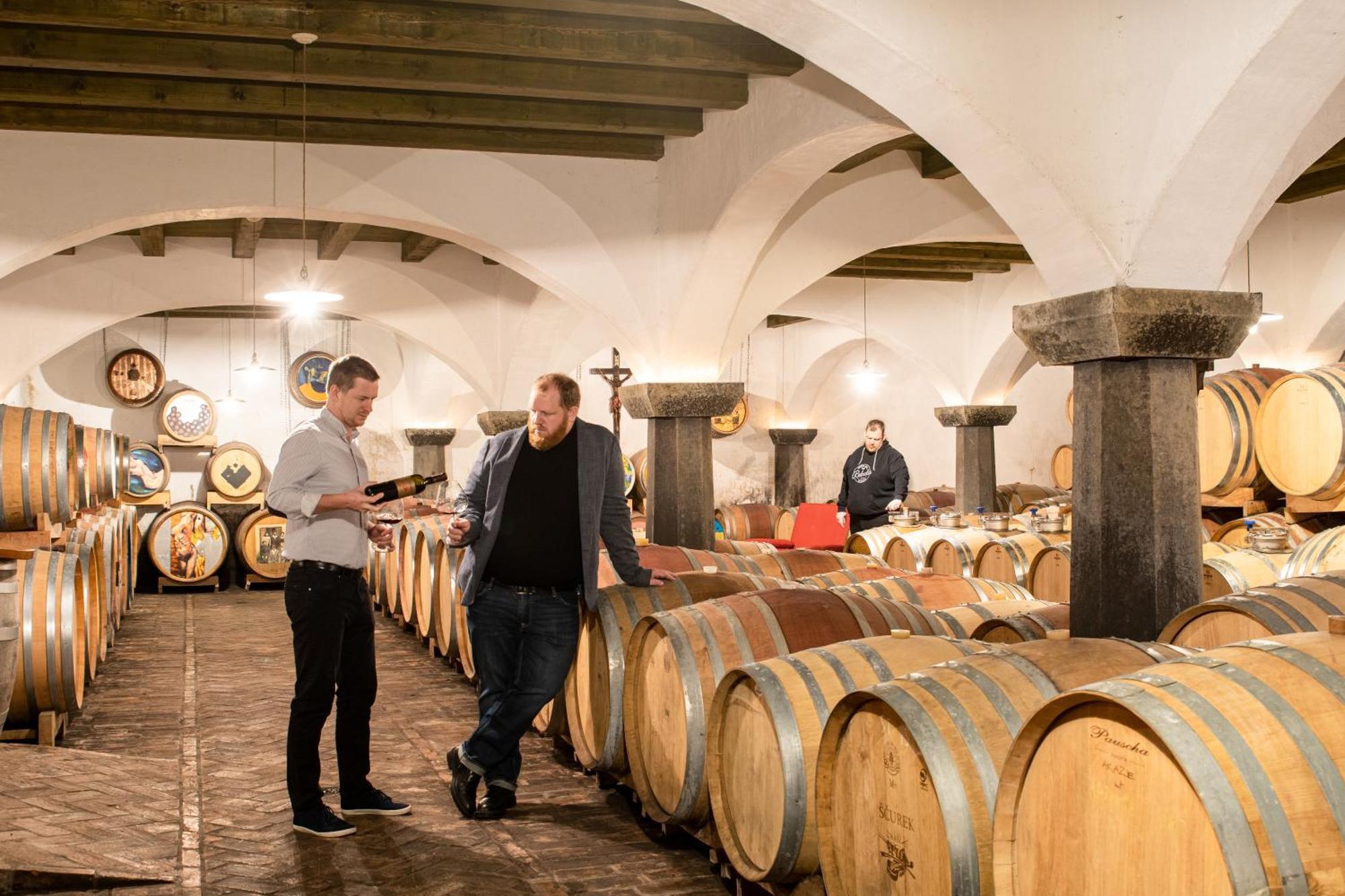 Posestvo Scurek Wine Bed & Breakfast Dobrovo Eksteriør bilde