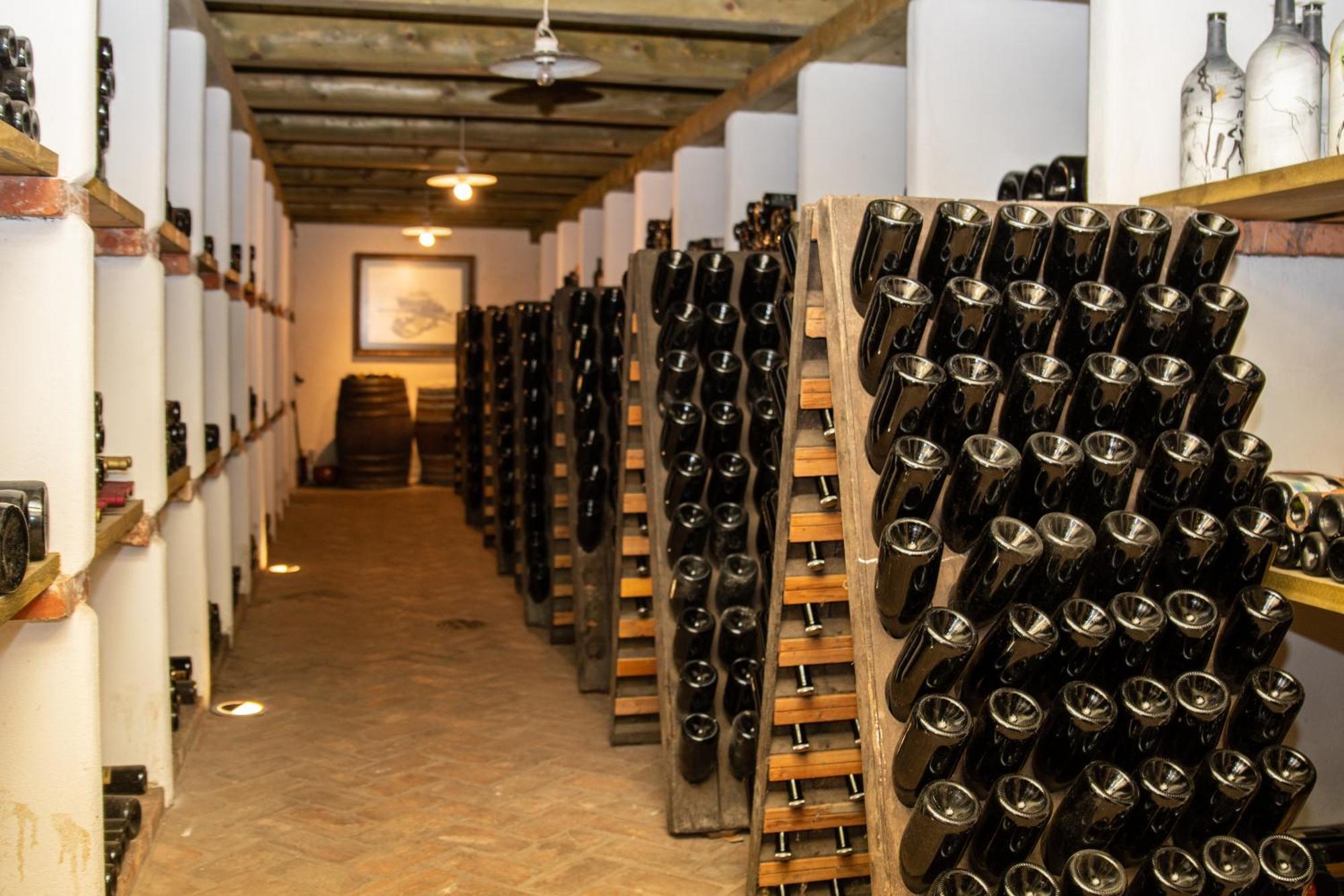 Posestvo Scurek Wine Bed & Breakfast Dobrovo Eksteriør bilde