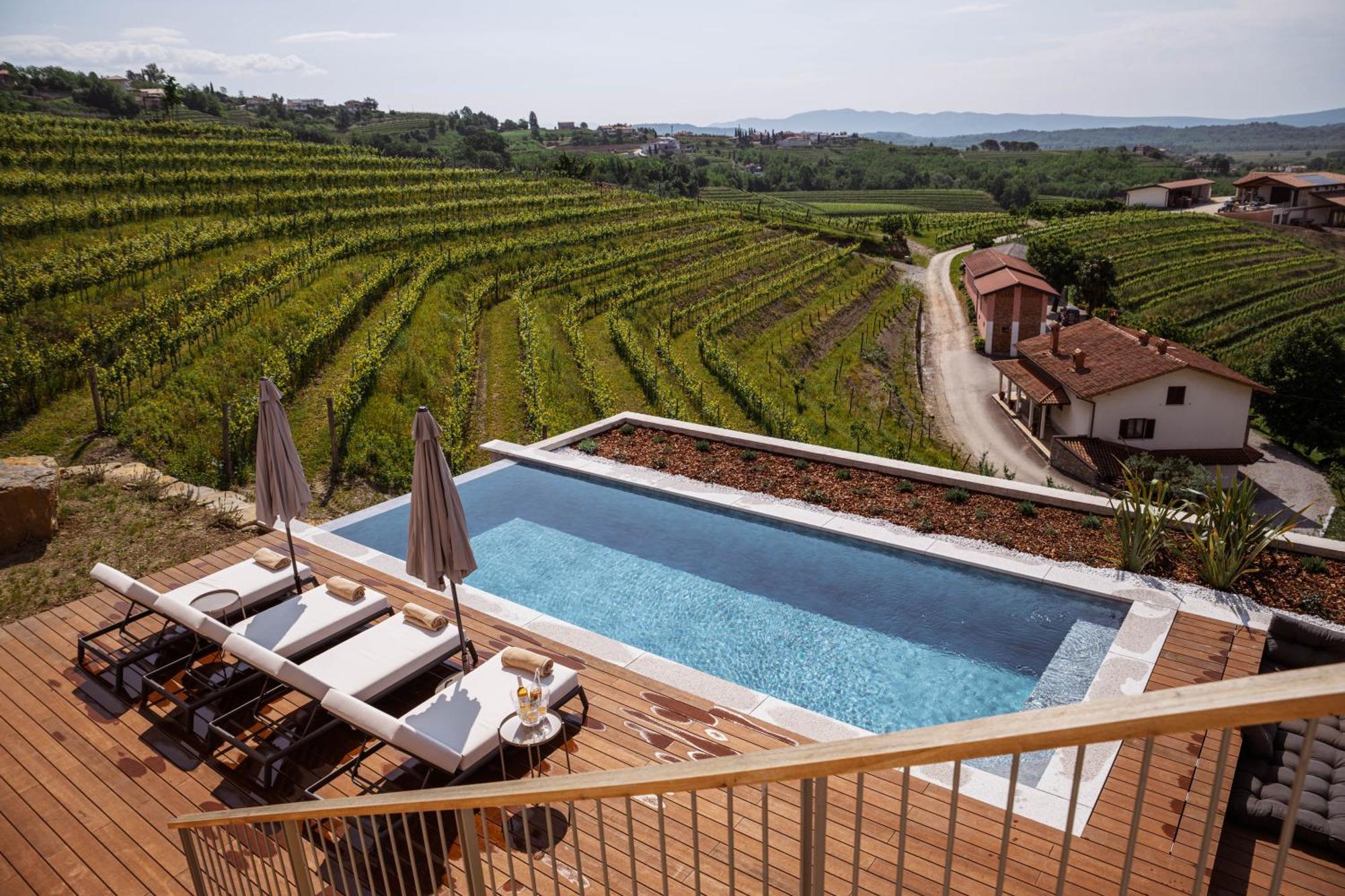 Posestvo Scurek Wine Bed & Breakfast Dobrovo Eksteriør bilde