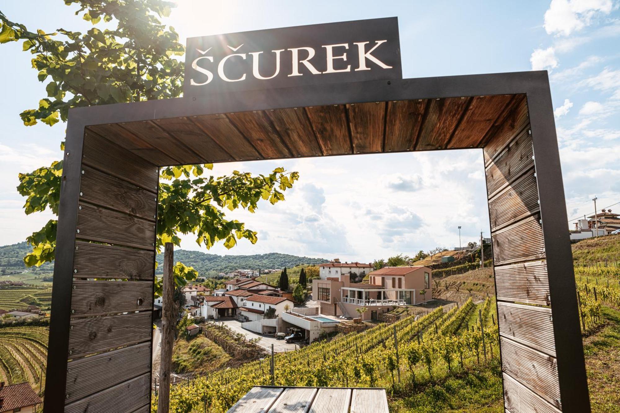 Posestvo Scurek Wine Bed & Breakfast Dobrovo Eksteriør bilde