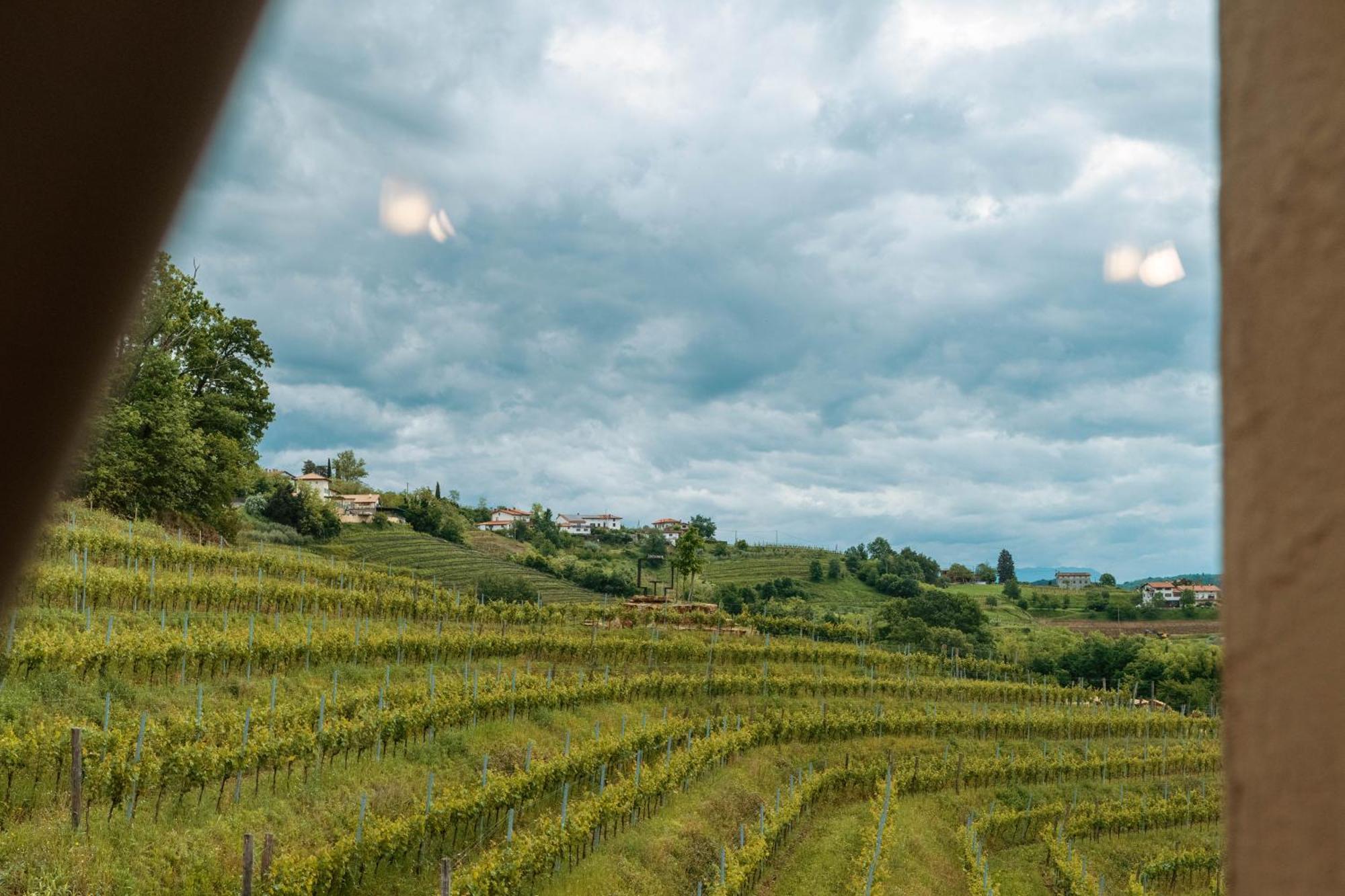 Posestvo Scurek Wine Bed & Breakfast Dobrovo Eksteriør bilde