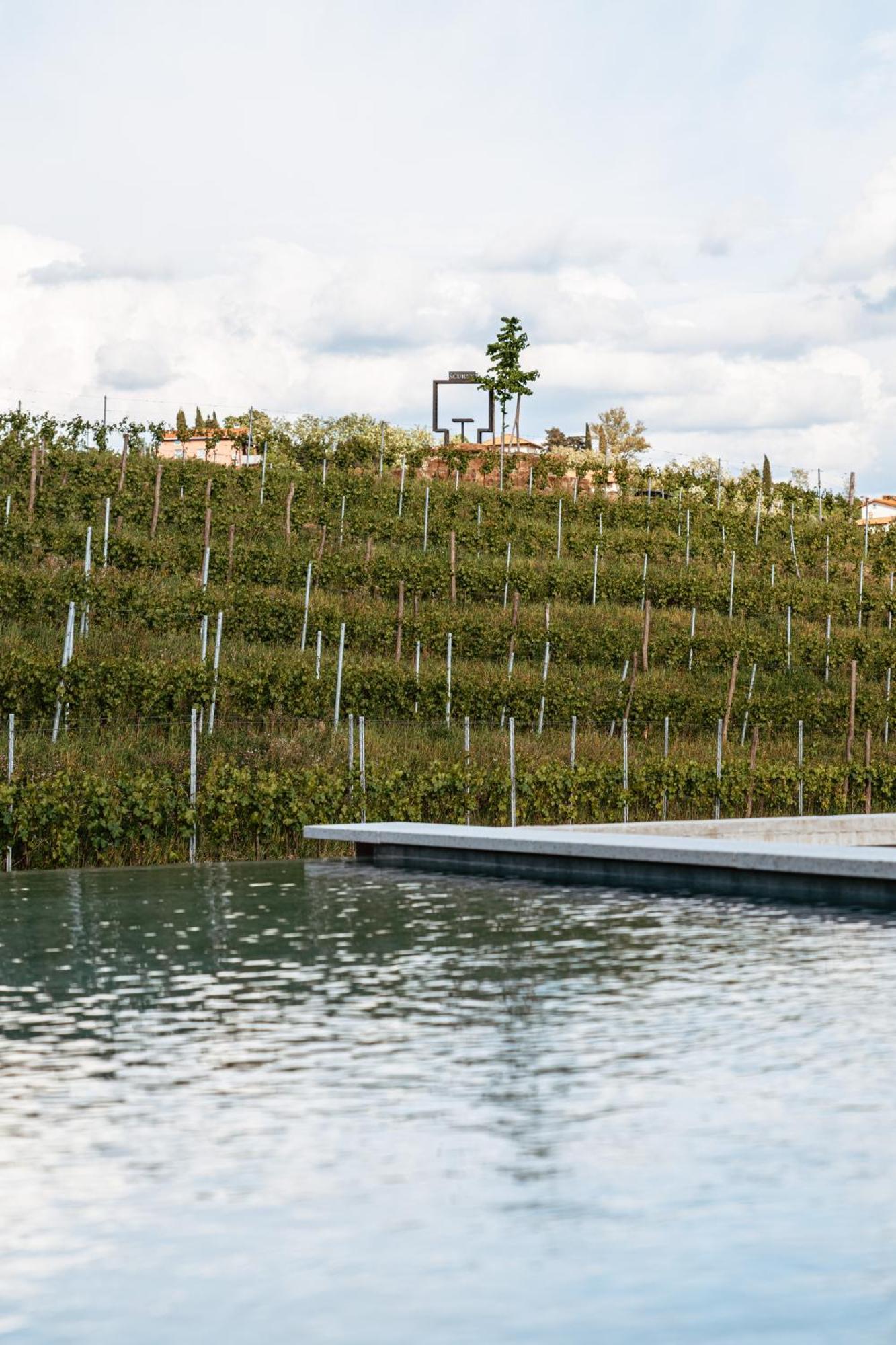 Posestvo Scurek Wine Bed & Breakfast Dobrovo Eksteriør bilde